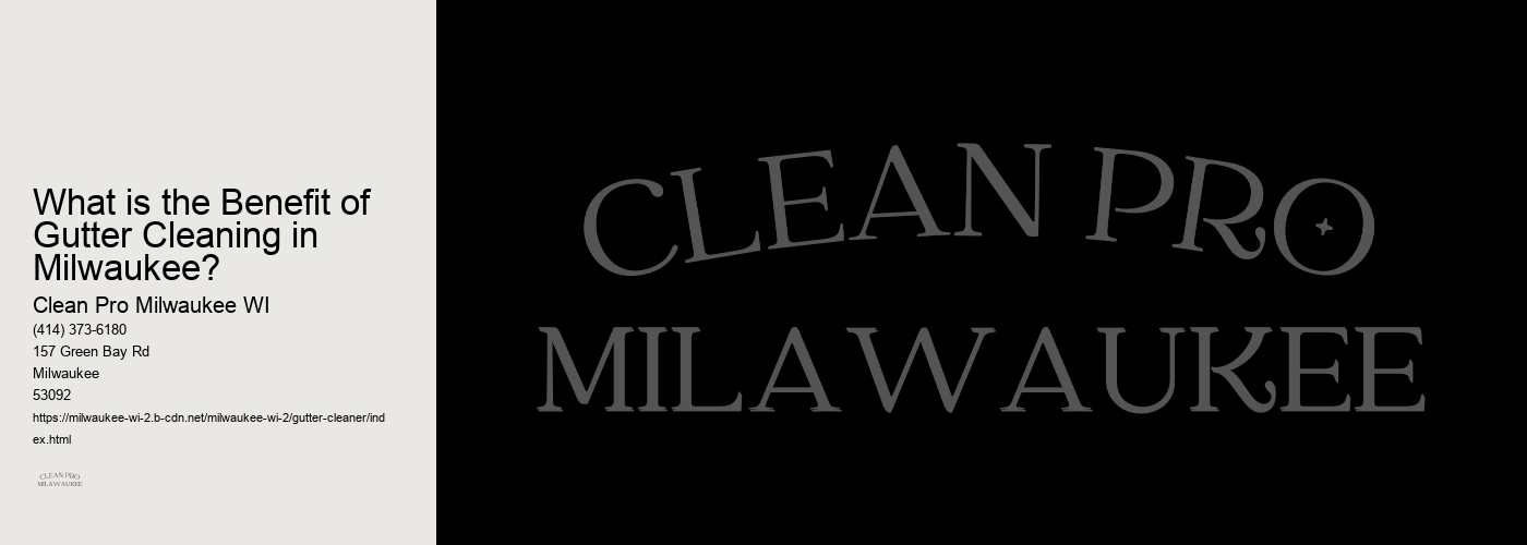 What is the Benefit of Gutter Cleaning in Milwaukee? 