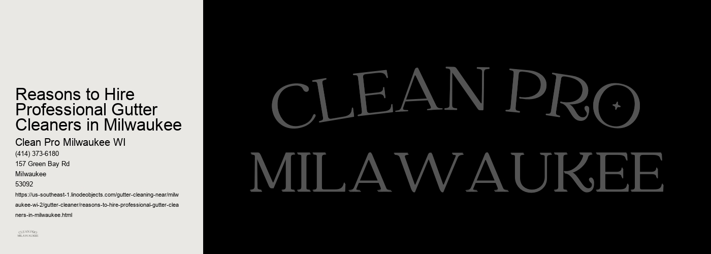 Reasons to Hire Professional Gutter Cleaners in Milwaukee 
