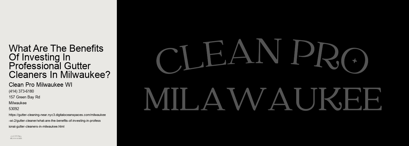 What Are The Benefits Of Investing In Professional Gutter Cleaners In Milwaukee?