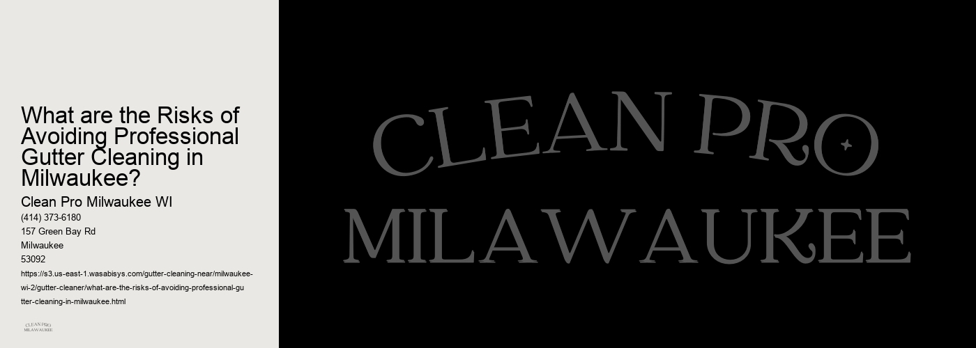 What are the Risks of Avoiding Professional Gutter Cleaning in Milwaukee? 